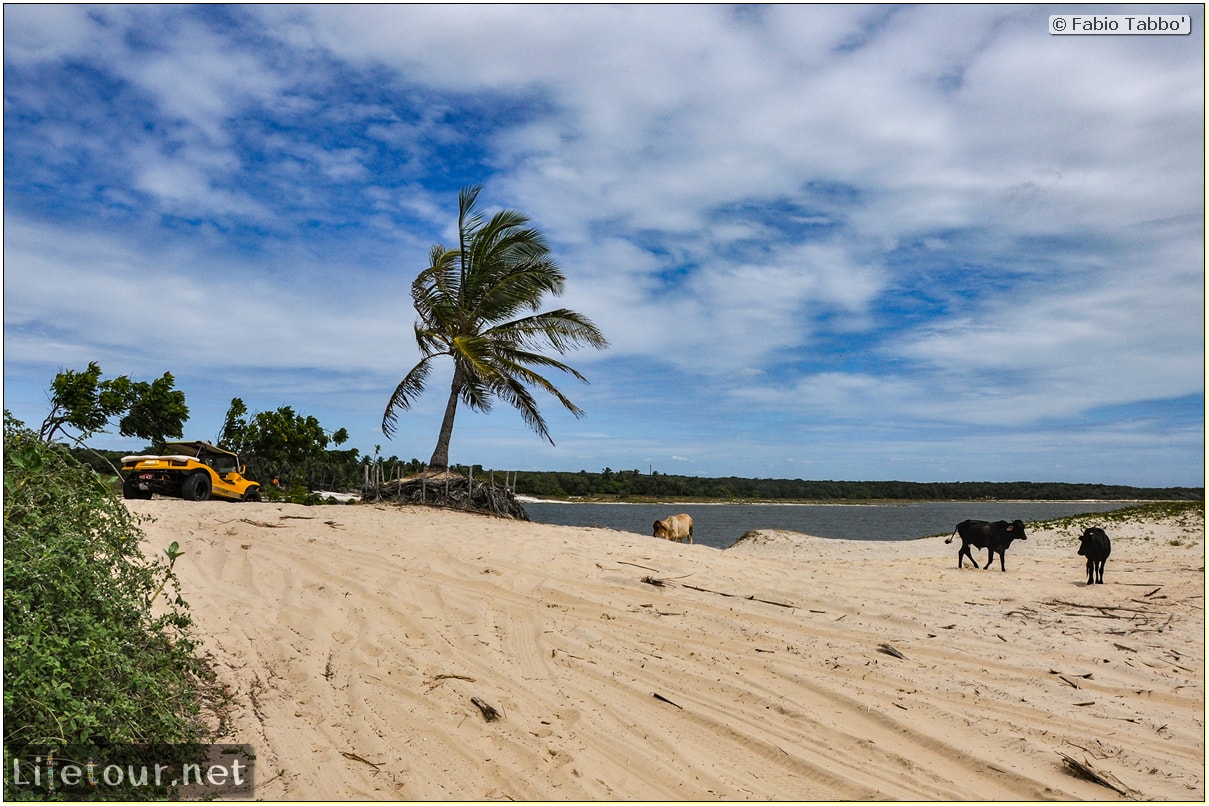 Fabio's LifeTour - Brazil (2015 April-June and October) - Morro Branco - Dune Buggy racing - 6737