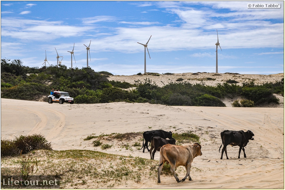 Fabio's LifeTour - Brazil (2015 April-June and October) - Morro Branco - Dune Buggy racing - 6870