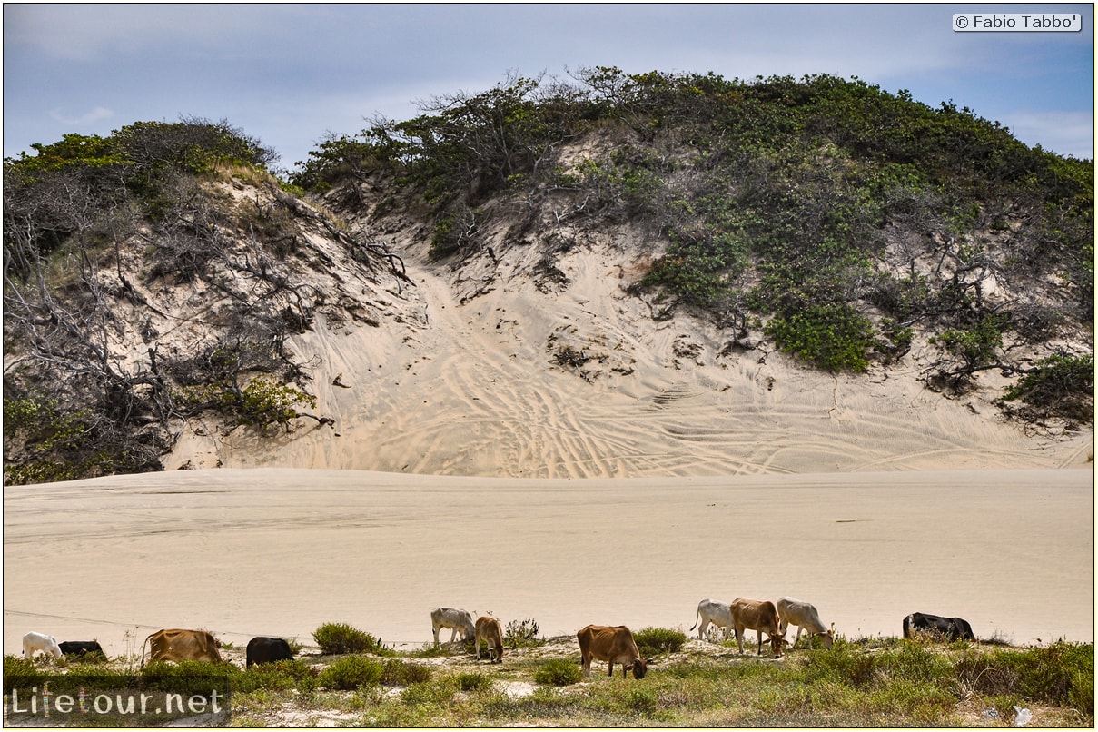 Fabio's LifeTour - Brazil (2015 April-June and October) - Morro Branco - Dune Buggy racing - 6896