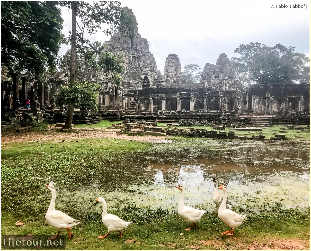 Fabio_s-LifeTour---Cambodia-(2017-July-August)---Siem-Reap-(Angkor)---Angkor-temples---Bayon-temple---18634-cover