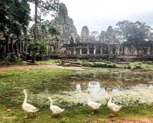 Fabio_s-LifeTour---Cambodia-(2017-July-August)---Siem-Reap-(Angkor)---Angkor-temples---Bayon-temple---18634-cover