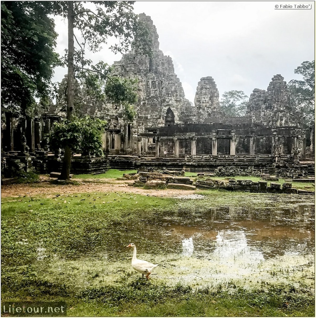 Fabio_s-LifeTour-Cambodia-2017-July-August-Siem-Reap-Angkor-Angkor-temples-Bayon-temple-18636-cover