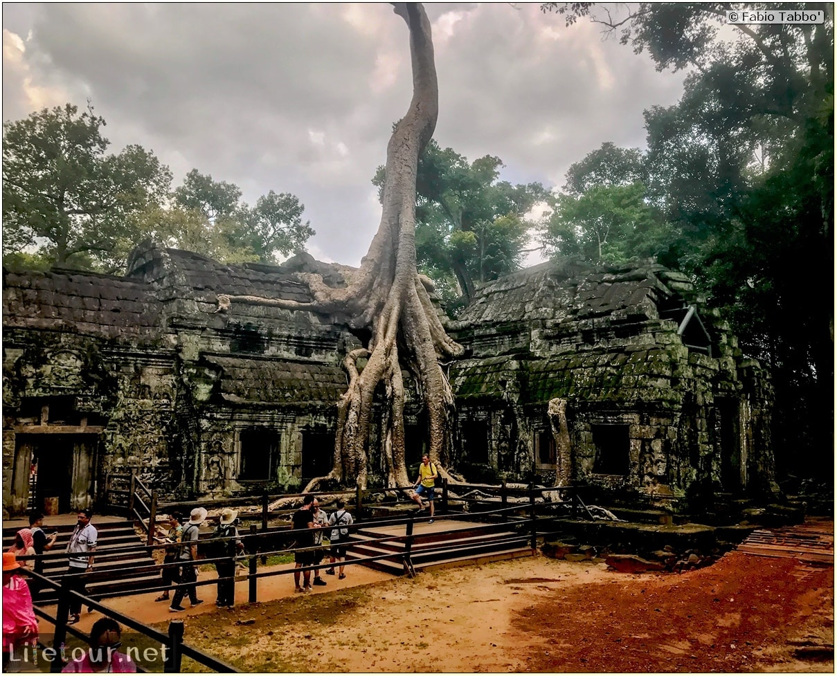 Fabio_s-LifeTour---Cambodia-(2017-July-August)---Siem-Reap-(Angkor)---Angkor-temples---Ta-Prohm-temple---18618