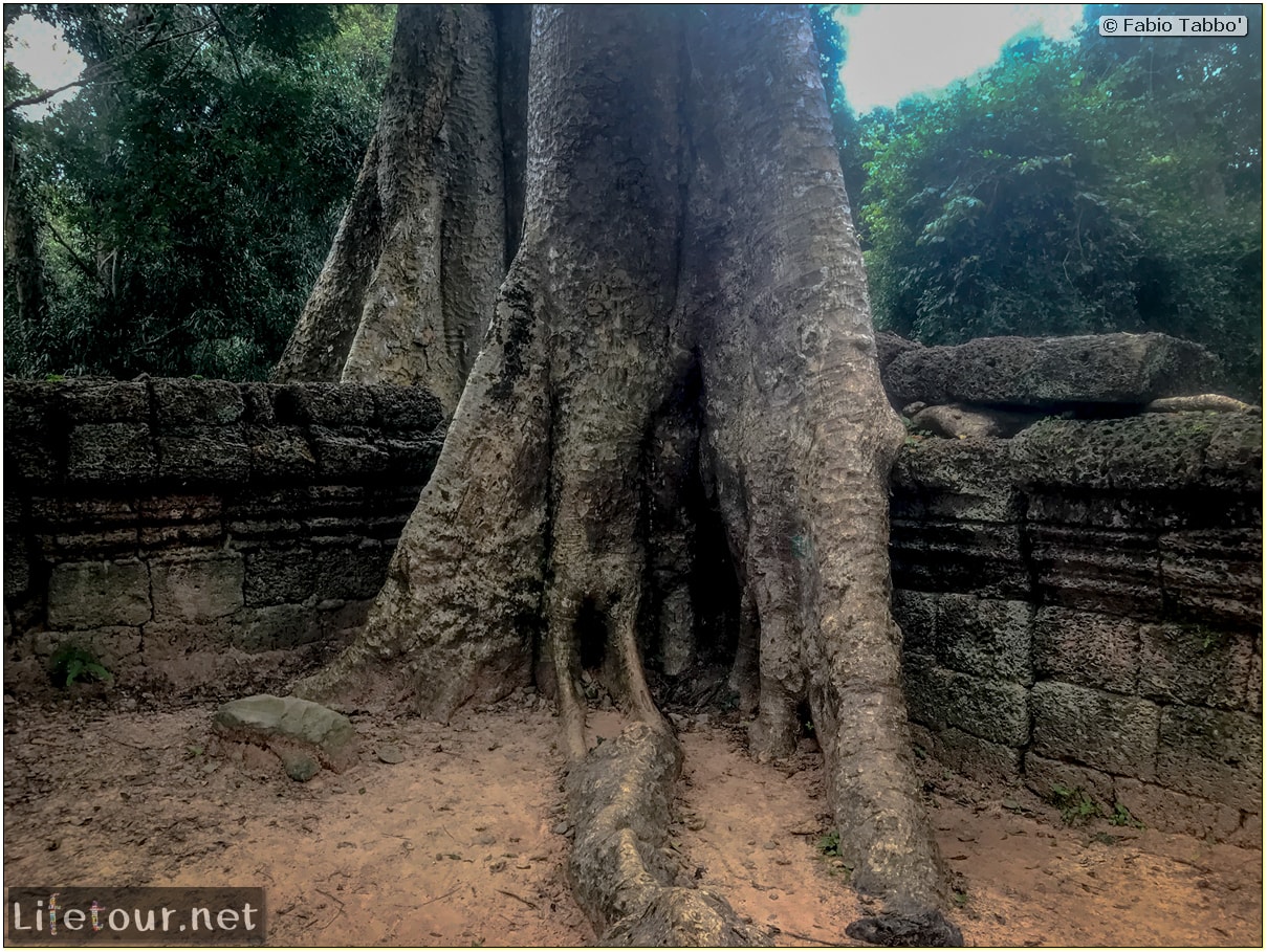 Fabio_s-LifeTour---Cambodia-(2017-July-August)---Siem-Reap-(Angkor)---Angkor-temples---Ta-Prohm-temple---18619