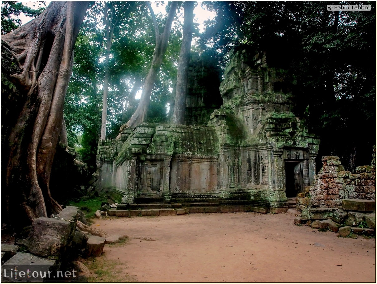 Fabio_s-LifeTour---Cambodia-(2017-July-August)---Siem-Reap-(Angkor)---Angkor-temples---Ta-Prohm-temple---20246
