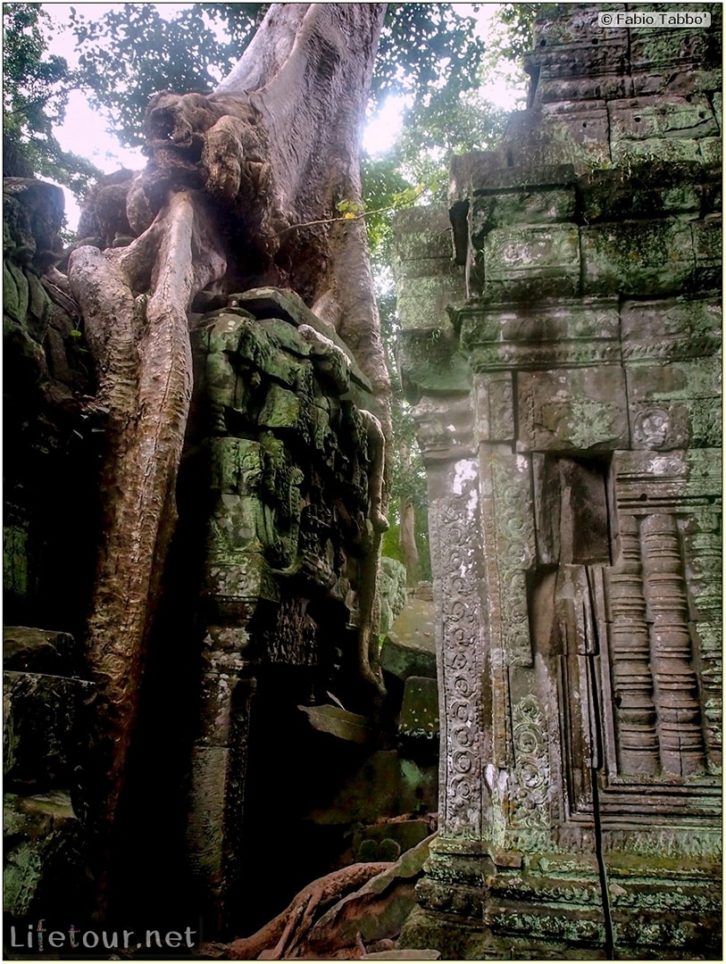 Fabio_s-LifeTour---Cambodia-(2017-July-August)---Siem-Reap-(Angkor)---Angkor-temples---Ta-Prohm-temple---20248