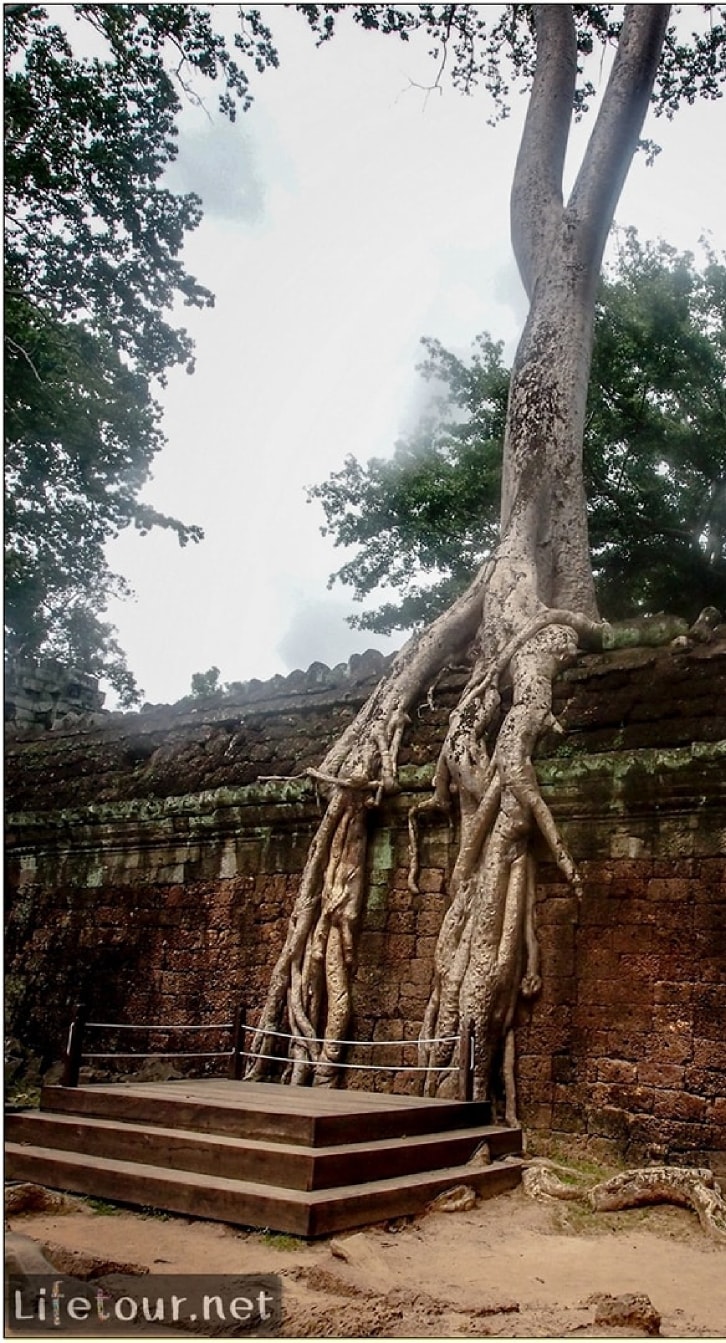 Fabio_s-LifeTour-Cambodia-2017-July-August-Siem-Reap-Angkor-Angkor-temples-Ta-Prohm-temple-20253