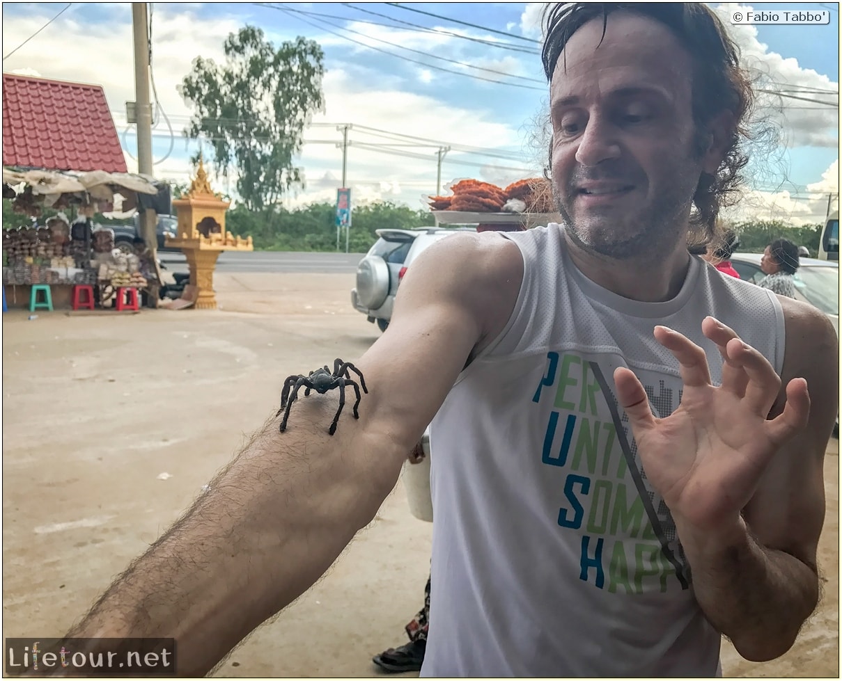 Fabio_s-LifeTour---Cambodia-(2017-July-August)---Skun---Playing-with-tarantulas-(and-eating-them-afterwards)---18384