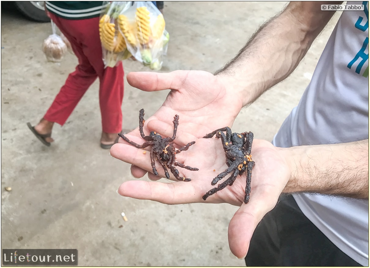 Fabio_s-LifeTour---Cambodia-(2017-July-August)---Skun---Playing-with-tarantulas-(and-eating-them-afterwards)---18391