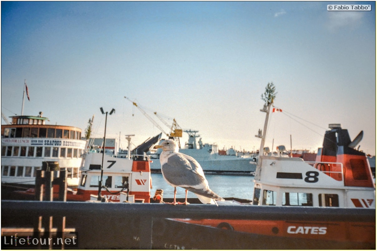 Fabio_s-LifeTour---Canada-(1998-November---1999-February)---Vancouver---City-center---13431 cover