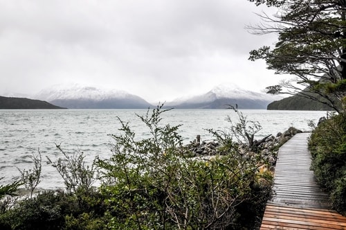 Fabio_s-LifeTour---Chile-(2015-September)---Park-O’higgins-–-glacier-Balmaceda---2--Trekking-to-glacier---3603 cover