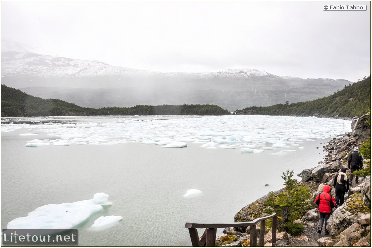 Fabio_s-LifeTour---Chile-(2015-September)---Park-O’higgins-–-glacier-Balmaceda---2--Trekking-to-glacier---7909