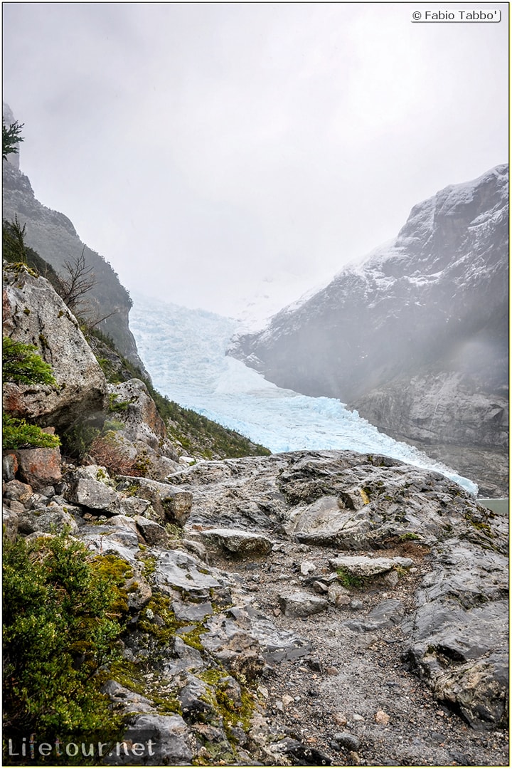 Fabio_s-LifeTour---Chile-(2015-September)---Park-O’higgins-–-glacier-Balmaceda---2--Trekking-to-glacier---7969