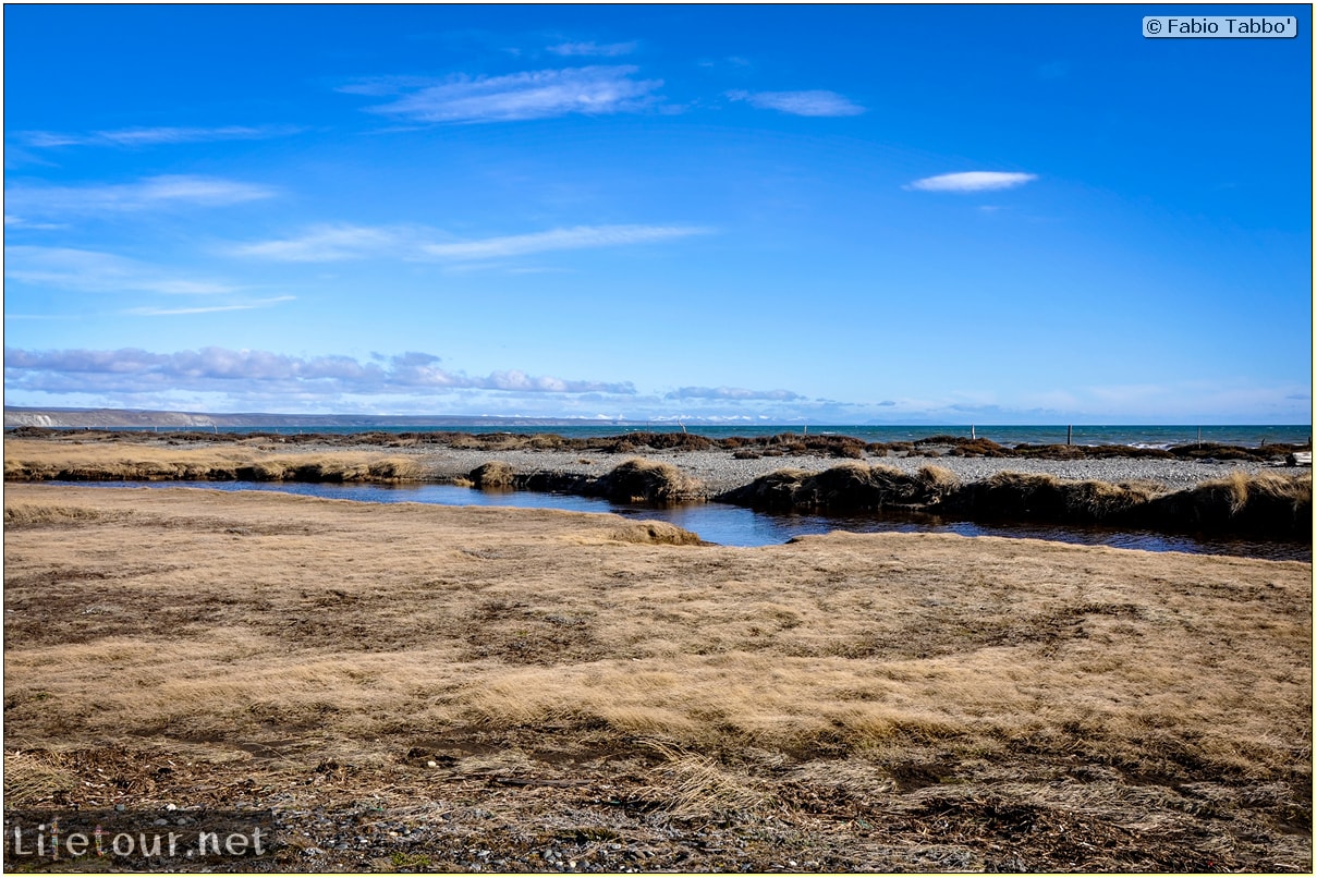 Fabio_s-LifeTour---Chile-(2015-September)---Porvenir---Tierra-del-Fuego---Parque-Penguinos-Rey---4--Erratic-trekking---10776