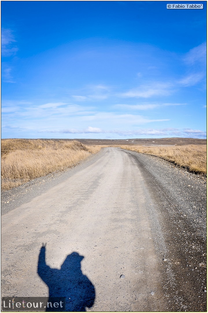 Fabio_s-LifeTour---Chile-(2015-September)---Porvenir---Tierra-del-Fuego---Parque-Penguinos-Rey---4--Erratic-trekking---11290