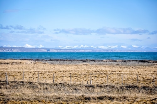 Fabio_s-LifeTour---Chile-(2015-September)---Porvenir---Tierra-del-Fuego---Parque-Penguinos-Rey---4--Erratic-trekking---11310 cover