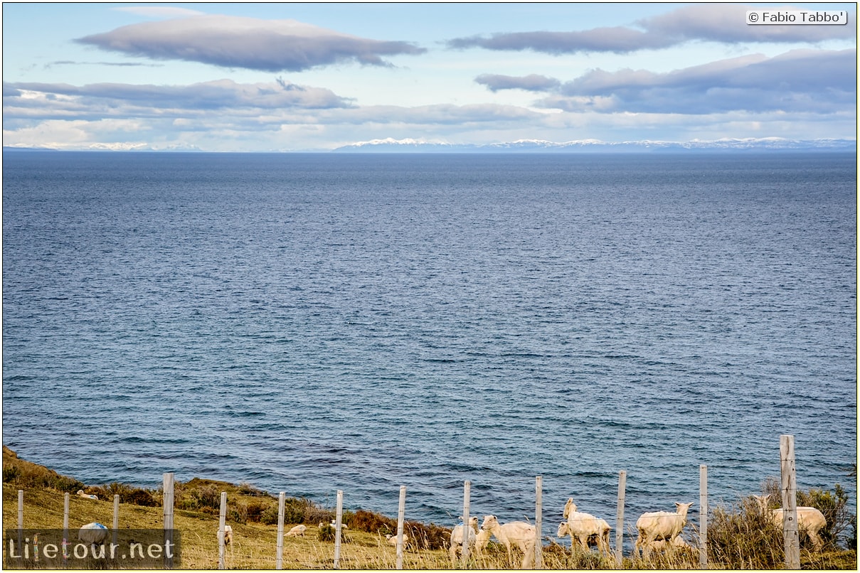 Fabio_s-LifeTour---Chile-(2015-September)---Porvenir---Tierra-del-Fuego---Parque-Penguinos-Rey---4--Erratic-trekking---7792