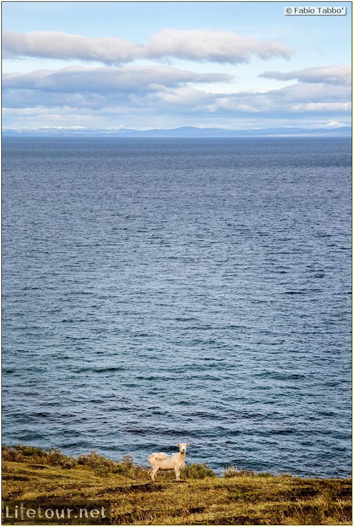 Fabio_s-LifeTour---Chile-(2015-September)---Porvenir---Tierra-del-Fuego---Parque-Penguinos-Rey---4--Erratic-trekking---7874 cover