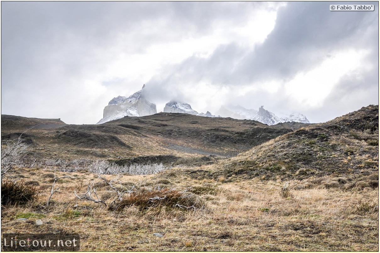 Fabio_s-LifeTour---Chile-(2015-September)---Torres-del-Paine---Ghost-forest---11758