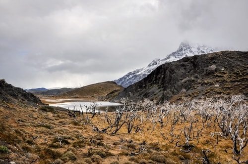 Fabio_s-LifeTour---Chile-(2015-September)---Torres-del-Paine---Ghost-forest---11847 cover