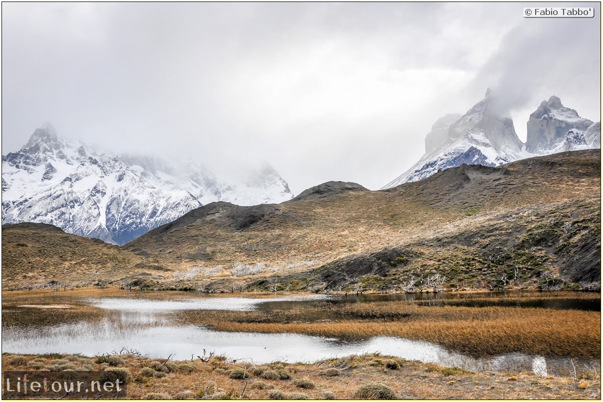 Fabio_s-LifeTour---Chile-(2015-September)---Torres-del-Paine---Ghost-forest---11902