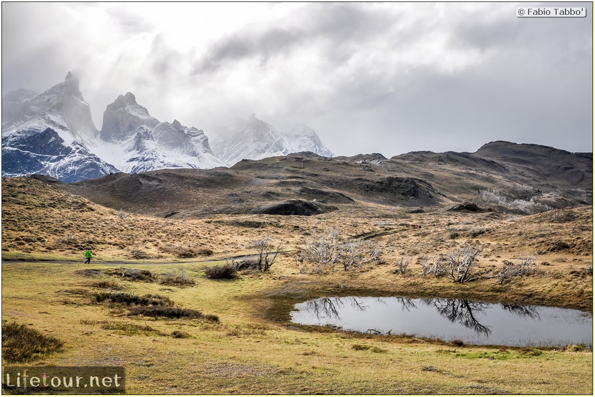 Fabio_s-LifeTour---Chile-(2015-September)---Torres-del-Paine---Ghost-forest---12047