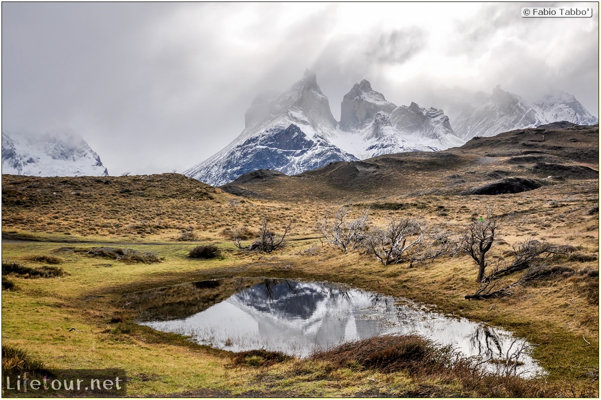 Fabio_s-LifeTour---Chile-(2015-September)---Torres-del-Paine---Ghost-forest---12055 cover