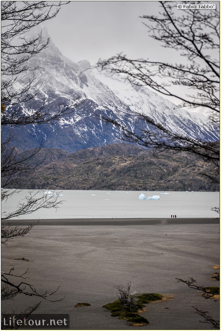 Fabio_s-LifeTour---Chile-(2015-September)---Torres-del-Paine---Glacier-Gray---12344