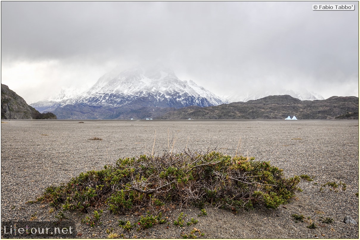 Fabio_s-LifeTour---Chile-(2015-September)---Torres-del-Paine---Glacier-Gray---12367 cover