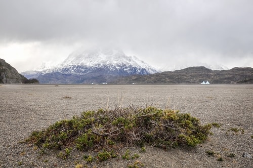 Fabio_s-LifeTour---Chile-(2015-September)---Torres-del-Paine---Glacier-Gray---12367 cover