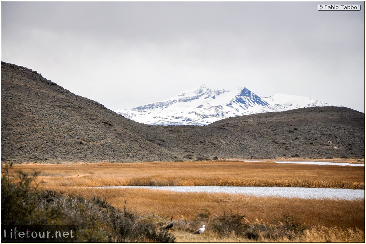 Fabio_s-LifeTour---Chile-(2015-September)---Torres-del-Paine---Lama-Crossing---11318