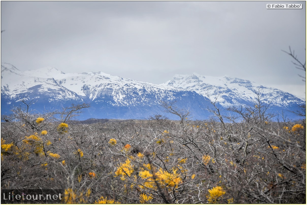 Fabio_s-LifeTour---Chile-(2015-September)---Torres-del-Paine---Other-pictures-trekking-Torres-del-Paine---3550