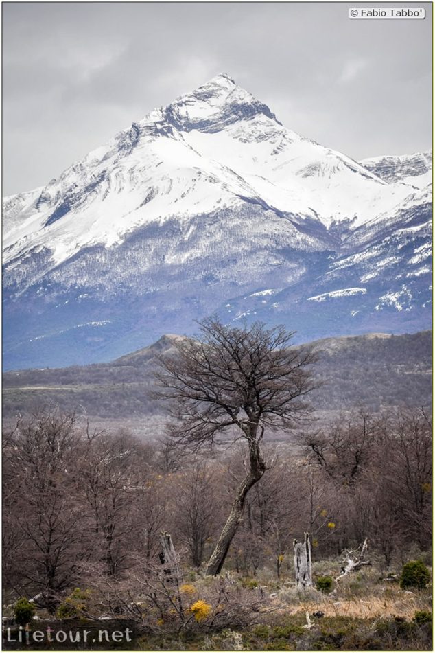 Fabio_s-LifeTour---Chile-(2015-September)---Torres-del-Paine---Other-pictures-trekking-Torres-del-Paine---7493