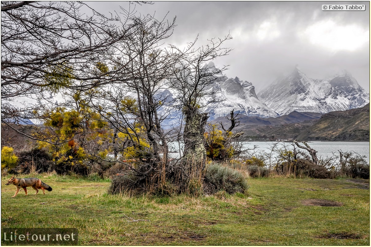 Fabio_s-LifeTour---Chile-(2015-September)---Torres-del-Paine---Serrano-river-tourist-village---12260