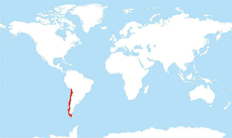 location-chile