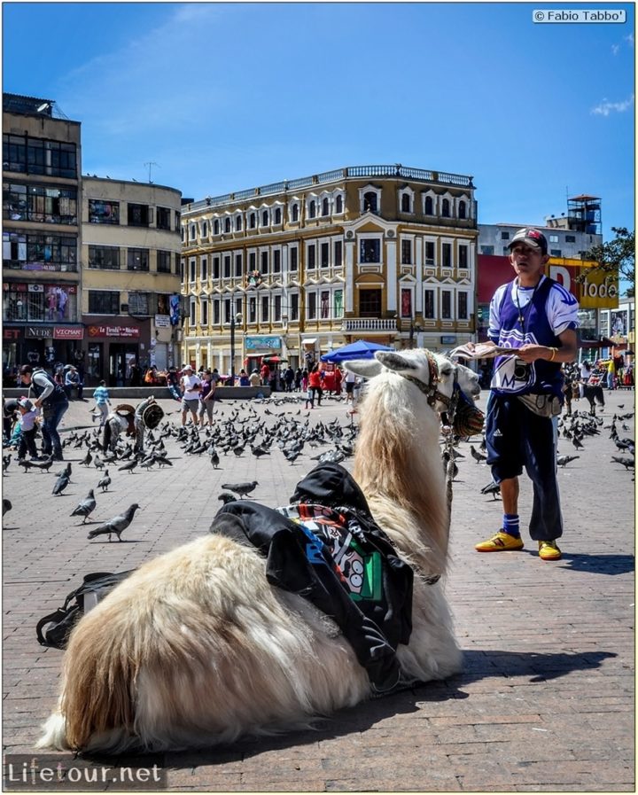 Fabio_s-LifeTour---Colombia-(2015-January-February)---Bogota_---Candelaria---Bolivar-Plaza---1884