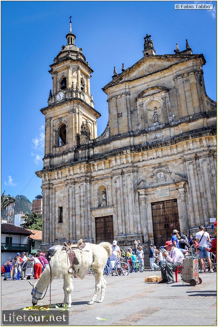 Fabio_s-LifeTour---Colombia-(2015-January-February)---Bogota_---Candelaria---Bolivar-Plaza---5405