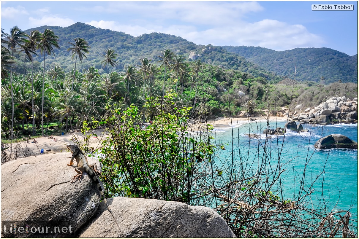 Fabio_s-LifeTour---Colombia-(2015-January-February)---Santa-Marta---Tayrona-park---Feeding-iguanas---5805