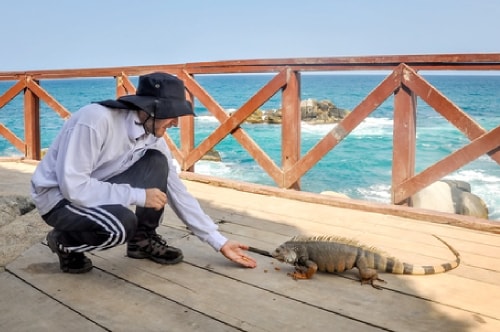 Fabio_s-LifeTour---Colombia-(2015-January-February)---Santa-Marta---Tayrona-park---Feeding-iguanas---8073 COVER