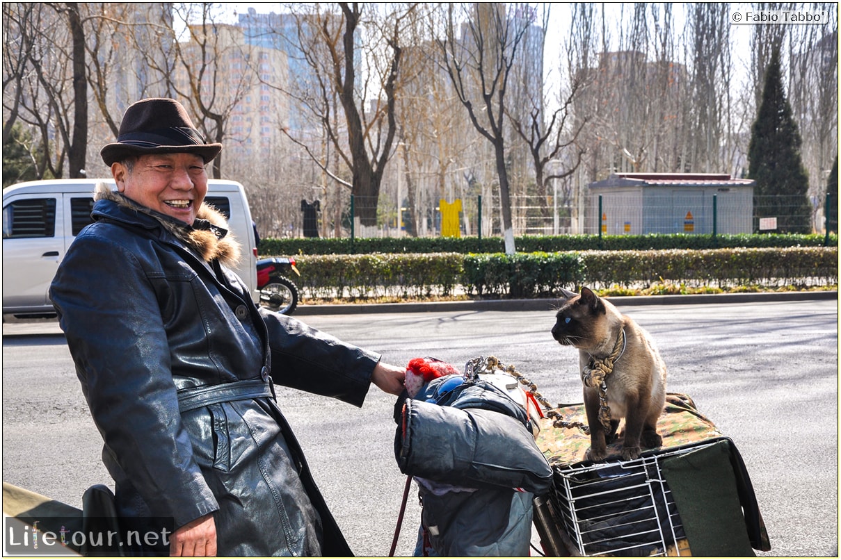 Fabio's LifeTour - China (1993-1997 and 2014) - Beijing (1993-1997 and 2014) - Tourism - Other Beijing pictures - 2014 - 1889