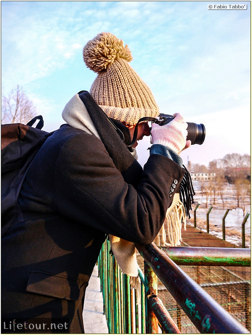 Fabio's LifeTour - China (1993-1997 and 2014) - Harbin (2014) - Siberian Tiger Park - 16031