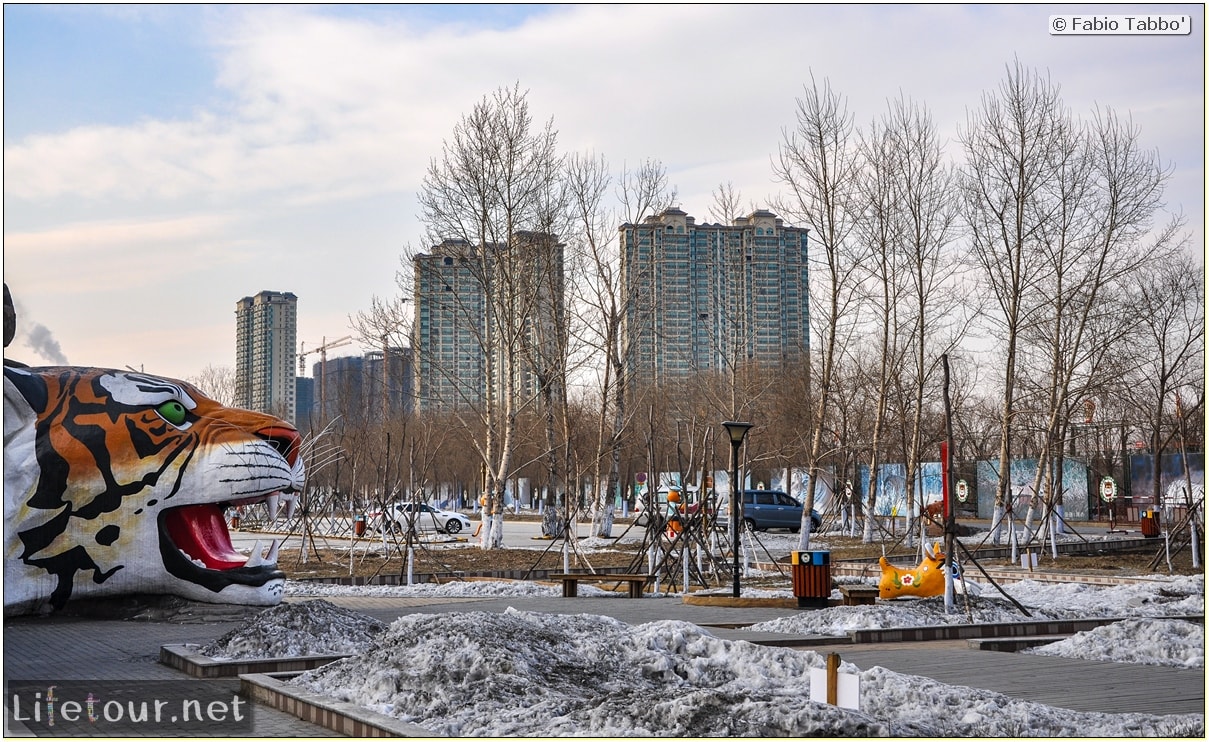 Fabio's LifeTour - China (1993-1997 and 2014) - Harbin (2014) - Siberian Tiger Park - 5532