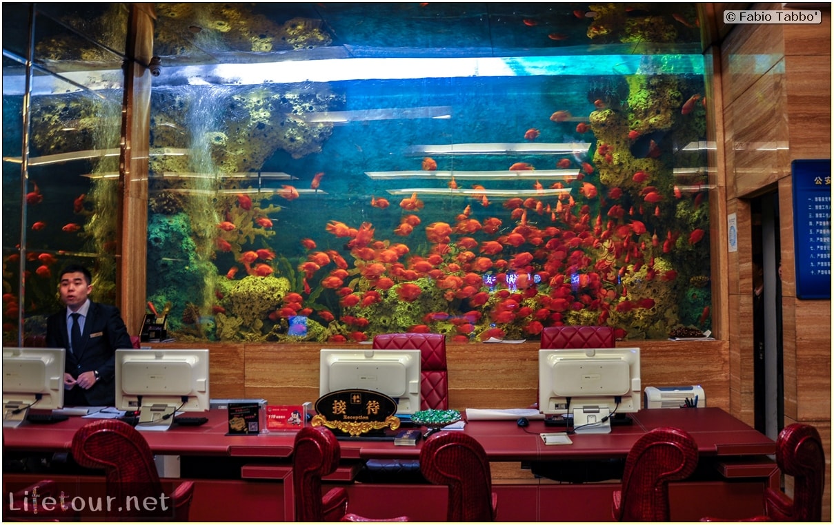 Fabio's LifeTour - China (1993-1997 and 2014) - Shen Yang (2014) - Acquarium Hotel - 1624