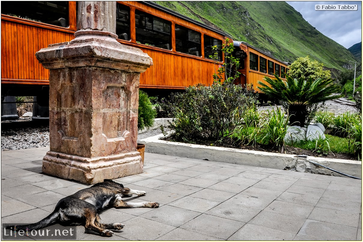 Fabio_s-LifeTour---Ecuador-(2015-February)---Alausi---El-Nariz-del-Diablo-(steam-train-ride)---12315 COVER