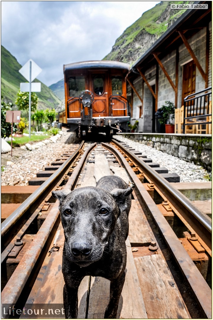 Fabio_s-LifeTour---Ecuador-(2015-February)---Alausi---El-Nariz-del-Diablo-(steam-train-ride)---12393 COVER