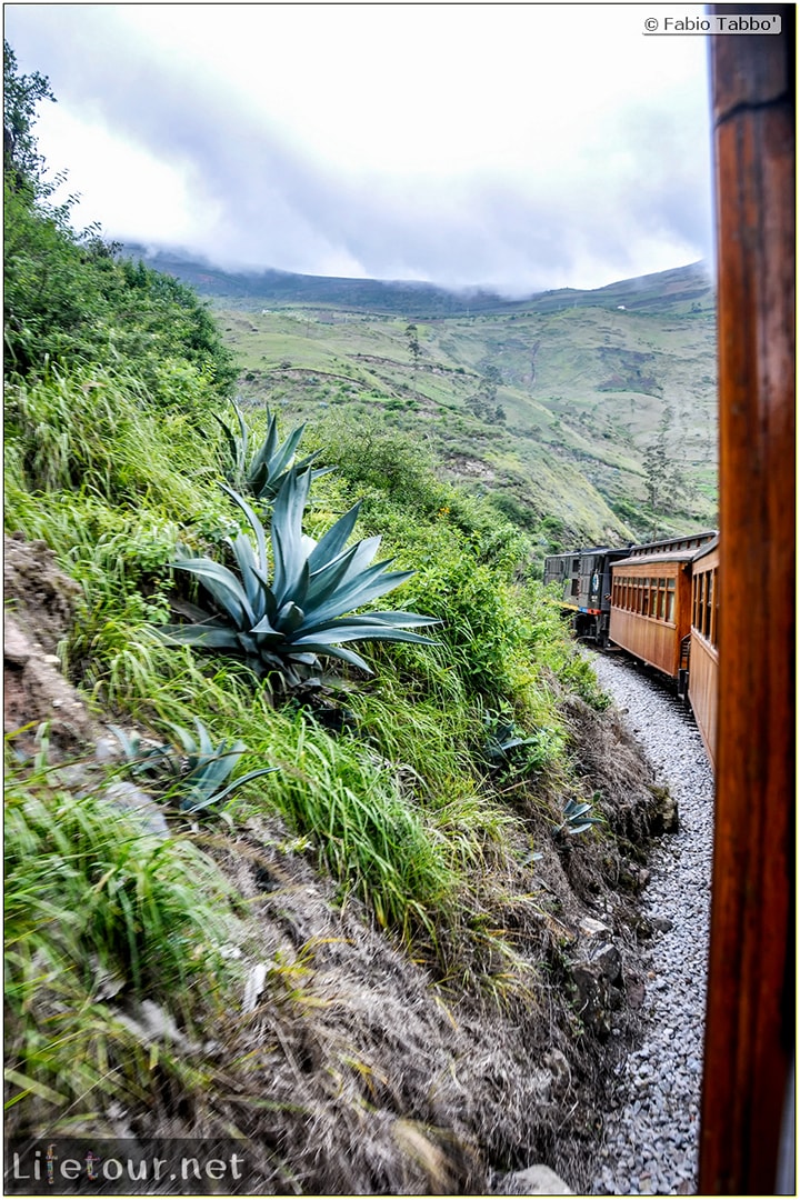 Fabio_s-LifeTour---Ecuador-(2015-February)---Alausi---El-Nariz-del-Diablo-(steam-train-ride)---12444