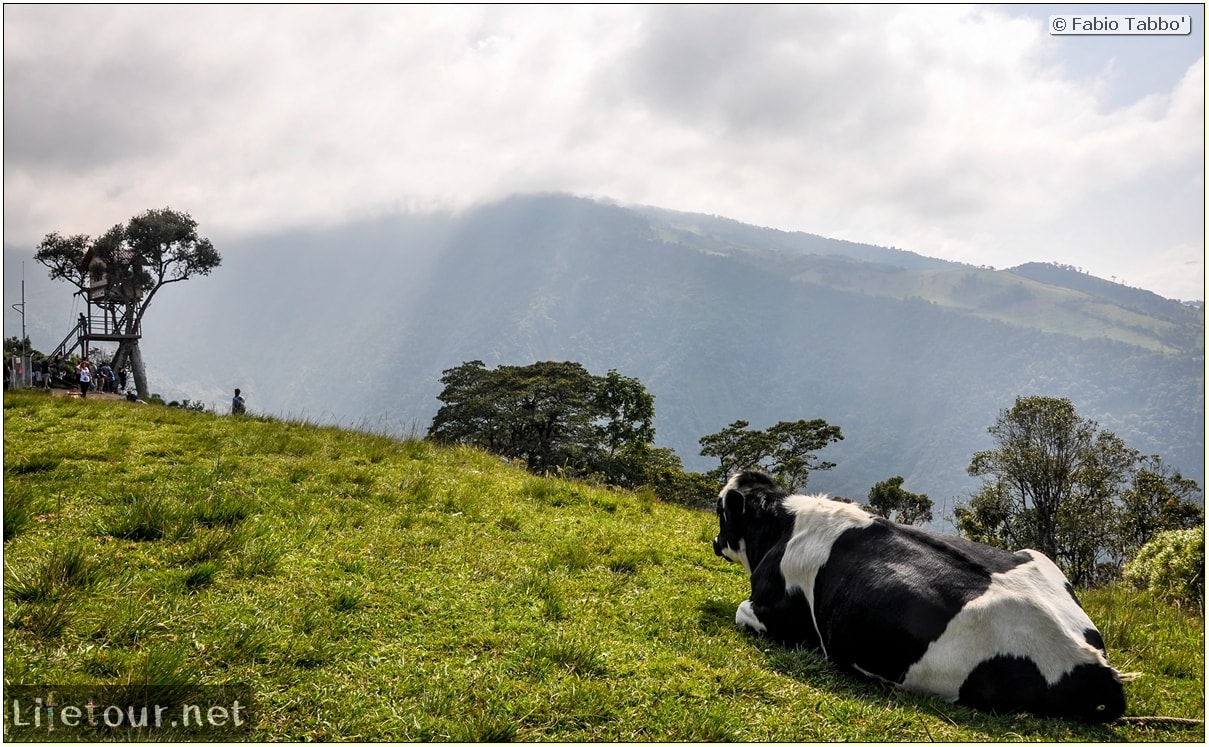 Fabio_s-LifeTour---Ecuador-(2015-February)---Banos---Casa-de-Arbol---11820 COVER