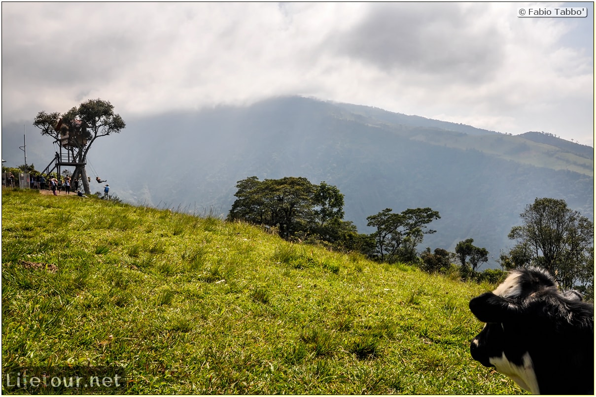 Fabio_s-LifeTour---Ecuador-(2015-February)---Banos---Casa-de-Arbol---11833