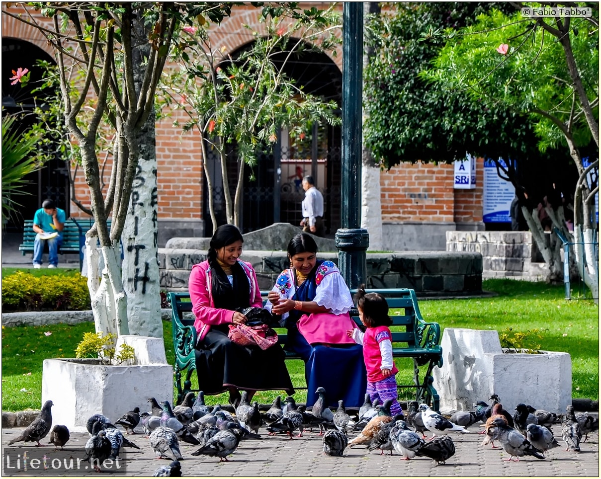 Fabio_s-LifeTour---Ecuador-(2015-February)---Ibarra---Parque-Pedro-Moncayo---10604