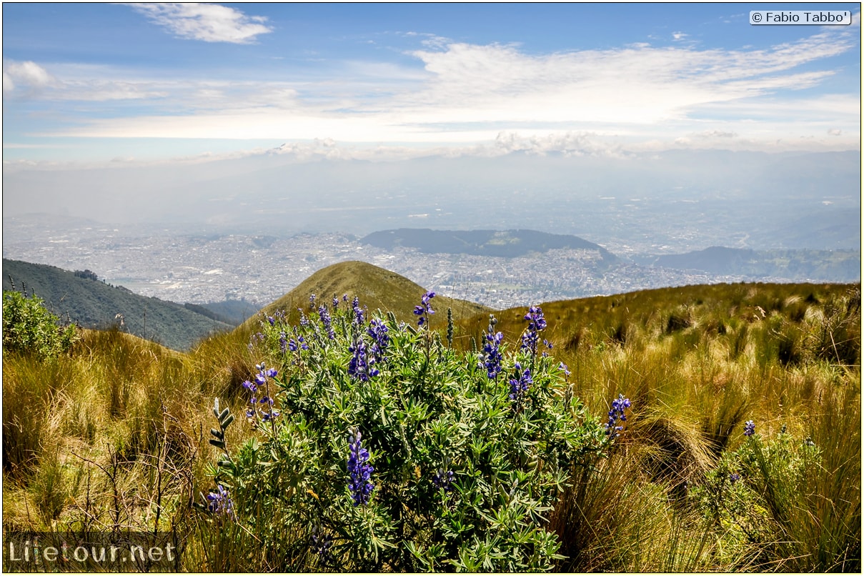 Fabio_s-LifeTour---Ecuador-(2015-February)---Quito---Teleferico---4--Trekking---12224